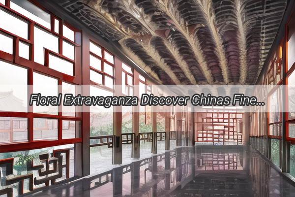 Floral Extravaganza Discover Chinas Finest Blossoms that Captivate the Senses